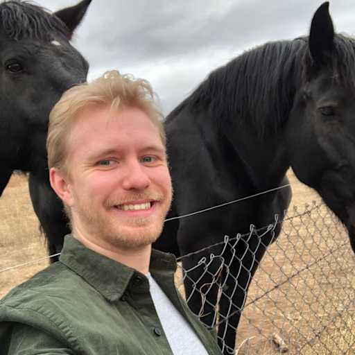 Profile image for pet sitter Daniel