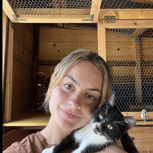 Profile image for pet sitter Nila