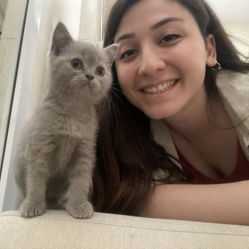 Profile image for pet sitter elif merve