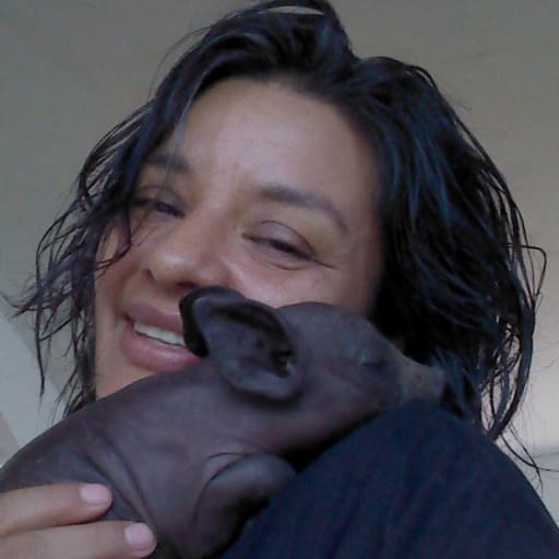 Profile image for pet sitter Maria del Pilar