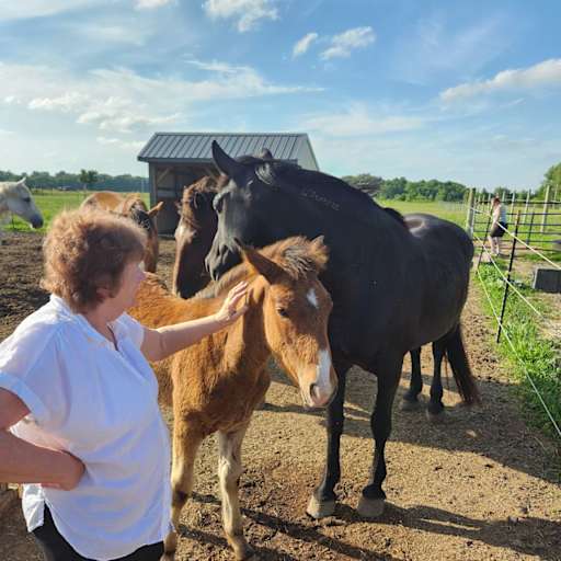 Profile image for pet sitter Donna