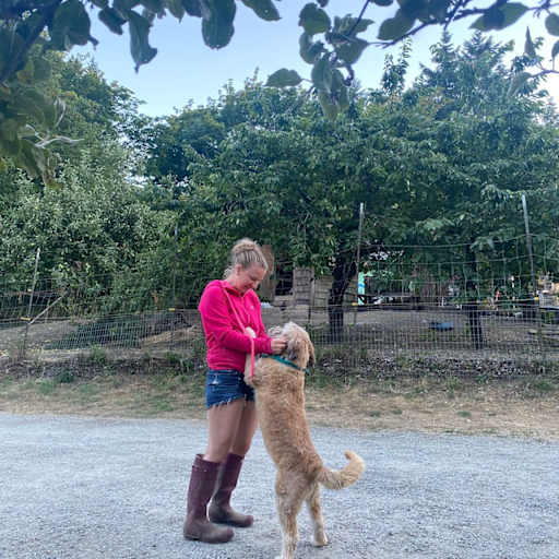 Profile image for pet sitter Alex