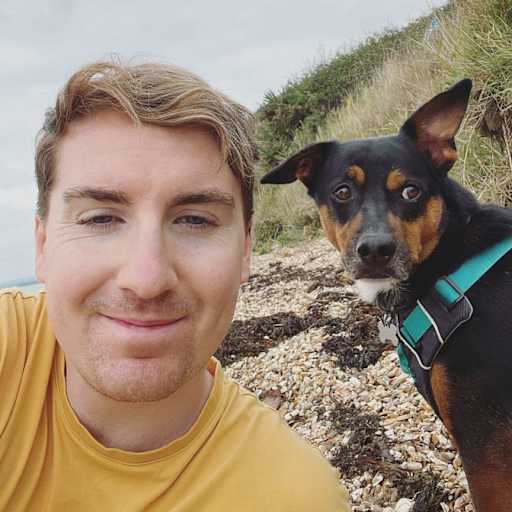 Profile image for pet sitter Jason