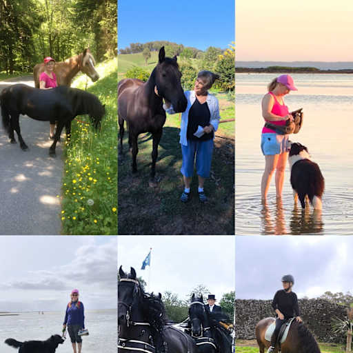 Profile image for pet sitters Debora & Denis