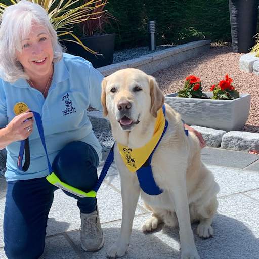 Profile image for pet sitters Sally & Malcolm