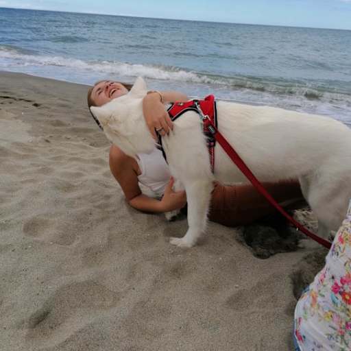 Profile image for pet sitters Lola & Lukas