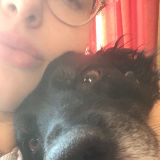 Profile image for pet sitters Amelia & Sam