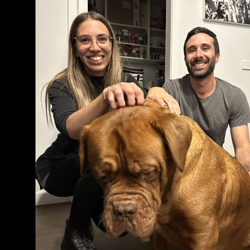 Profile image for pet sitters Juan & Daniela