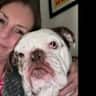House sit pet parent - A Warm Welsh Welcome in a Happy Home
