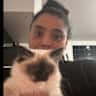 House sit pet parent - Glasgow city stay with A Cuddly ragdoll