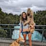 House sit pet parent - Hibiscus Coast beach dogs and their sometimes-there cat pal