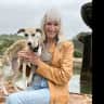 House sit pet parent - Feisty Fun Whippet by San Diego Zoo