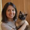 House sit pet parent - Munchkin cat sitting in Amsterdam