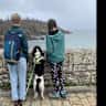 House sit pet parent - Dog holiday cover while we go on an extended family holiday.
