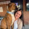 House sit pet parent - Countryside Escape with EASY Pets