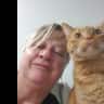 House sit pet parent - Sitter needed for shy indoor cat in lovely 2bedroom villa in Capalaba QLD.