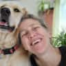 House sit pet parent - Spend time with a joyful Golden Retriever in peaceful Drummondville