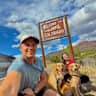 House sit pet parent - Large Home with an Office and 2 Loving Golden Retrievers
