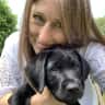 House sit pet parent - Large family home with daft black Labrador!