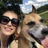 House sit pet parent - Sitter needed for cuddly german shepherd cross