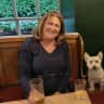 House sit pet parent - Dog sitter required in north west London