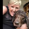 House sit pet parent - Two Doggy friends need some cuddles and company!