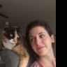 House sit pet parent - Cozy Respite with Friendly Kitty in Echo Park/South Silverlake