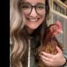 House sit pet parent - Long weekend getaway. Looking for adults to watch my chickens and cats