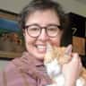 House sit pet parent - Hang out with 2 wonderful cats in their cool, quiet, Adams Morgan tree house.