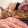 House sit pet parent - Brooklyn Stay With a Sweet Cat in the Heart of Bushwick
