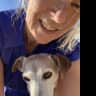 House sit pet parent - Mary and Jack