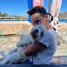 House sit pet parent - Crete is calling for you!