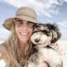 House sit pet parent - Explore the Bay Area with a Cuddly Mini Bernedoodle!