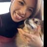 House sit pet parent - Little fox pup needs cuddles and company!