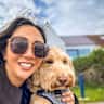 House sit pet parent - Pet sitting in Poole in a home in a quiet neighborhood