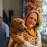 House sit pet parent - A house in Winchester with 2 dogs