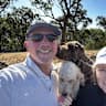 House sit pet parent - We live in Cammeray, NSW walking distance to shops, buses and some great parks