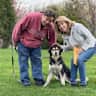 House sit pet parent - Come sit for lovely Skye in Armonk