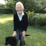 House sit pet parent - Kind, firm sitter for gentle friendly young dog in village on the south coast