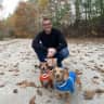 House sit pet parent - Two miniature dachshund urbanites seeking temporary sitters