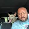 House sit pet parent - Nice house with loving dogs.