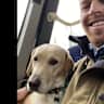 House sit pet parent - Two friendly dogs in a beautiful three bedroom listed home on the edge of Truro.