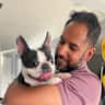House sit pet parent - Buddy the Boston Terrier in Sunny Coastal Carlsbad Family Home