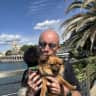 House sit pet parent - A Poodle and a Chihuahua in Central Antwerpen