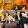 House sit pet parent - Dog sitter needed in downtown Weaverville, NC