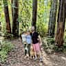 House sit pet parent - Happy Golden retriever sit in sunny bright Marin home
