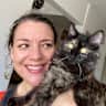 House sit pet parent - Kitty love in the heart of Mexico City