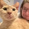 House sit pet parent - Calm, Cozy Home with Sweet Indoor Cat Near Harrisburg (Great for Remote Work)