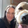 House sit pet parent - Beautiful Pup and Beautiful Home in Gladwyne.