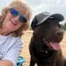 House sit pet parent - Beach “bear” looking for new friends. Looking for a sea change. Come sit with me